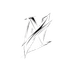 NeexStream